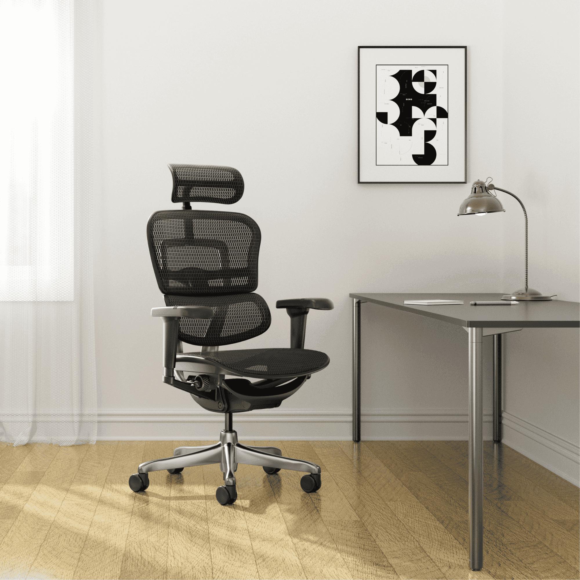 Biuro kėdė Ergohuman ELITE BS Black FD