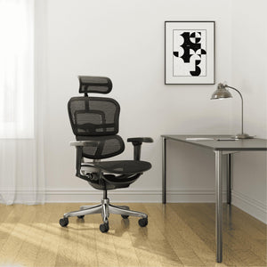 Biuro kėdė Ergohuman ELITE BS Black FD