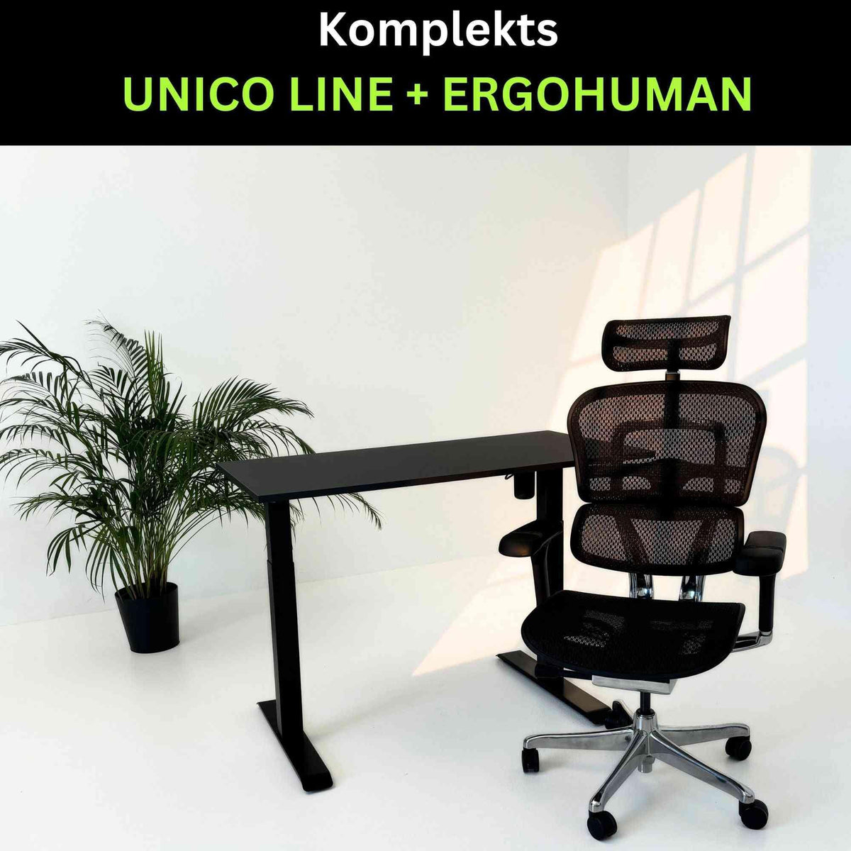 Darbo vietos komplektas UNICO BLACK Ergohuman ELITE