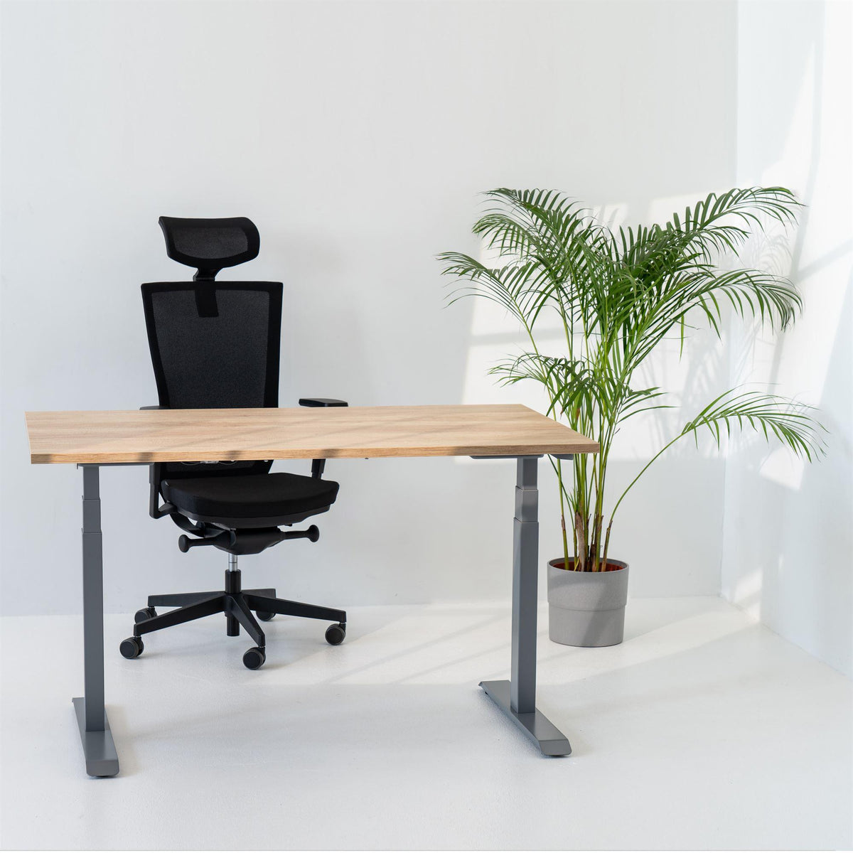 Elektra reguliuojamo aukščio stalas Unico Line – American oak / Sidabro / 120 x 65