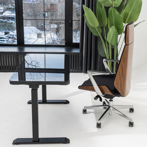 Elektrinis reguliuojamo aukščio daugiafunkcis stalas Home Line