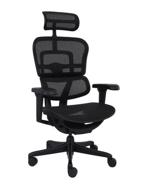 Biuro kėdė Ergohuman 2 Ultra ST BS Black