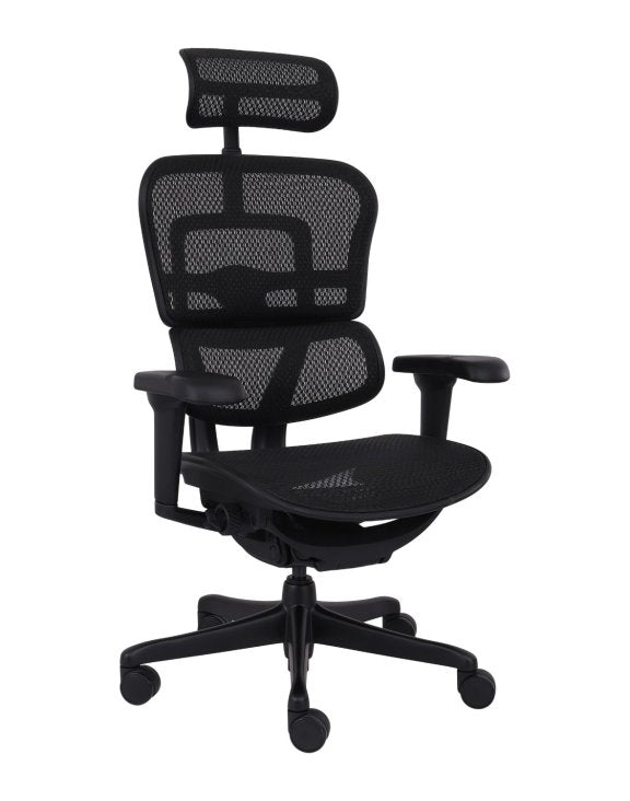 Biuro kėdė Ergohuman 2 Ultra ST BS Black