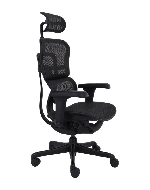 Biuro kėdė Ergohuman 2 Ultra ST BS Black