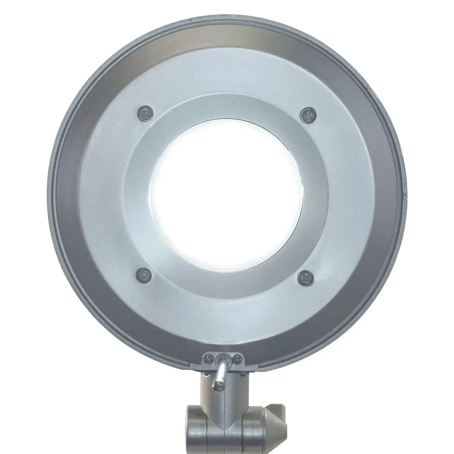Stalo lempa MAULbusiness, LED