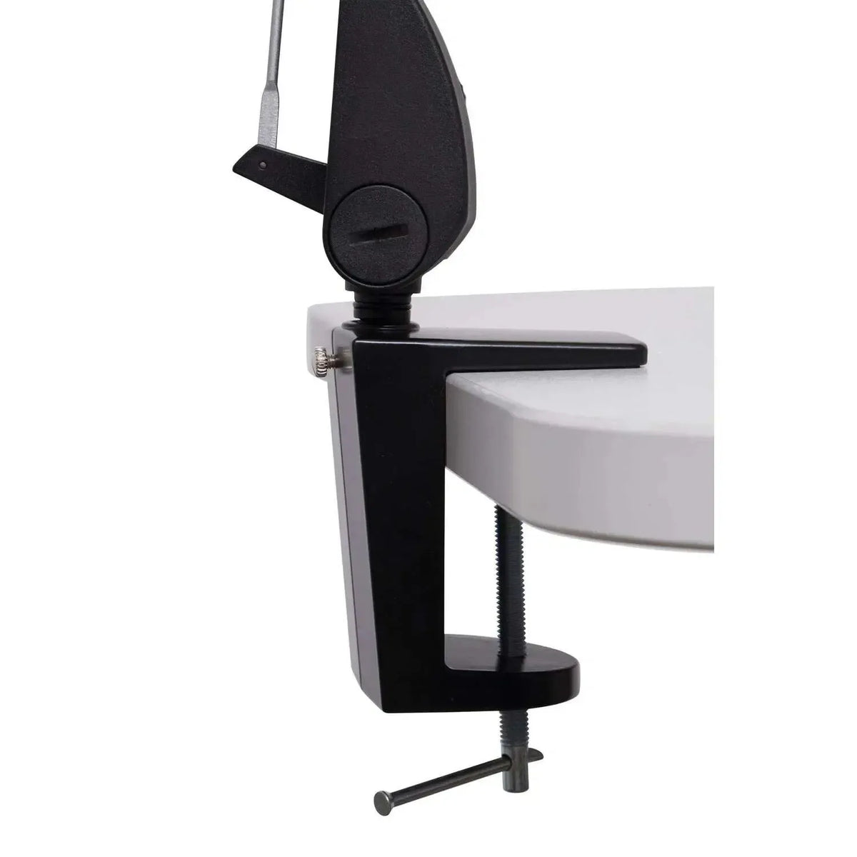 Galda lampa MAULoptimus, LED, skava