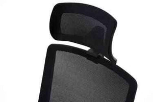 HD Galvas balsts COCO