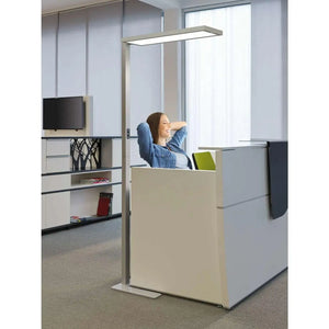 LED toršeras MAULsenja
