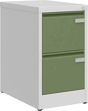 Metalinė kartotekos spinta Archive, 722x415x633 mm, A4 formatui – šviesiai pilka / žalia