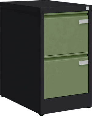 Metalinė kartotekos spinta Archive, 722x415x633 mm, A4 formatui – juoda / žalia