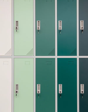 Metalinė persirengimo spinta Oxford Green, 10 skyrių