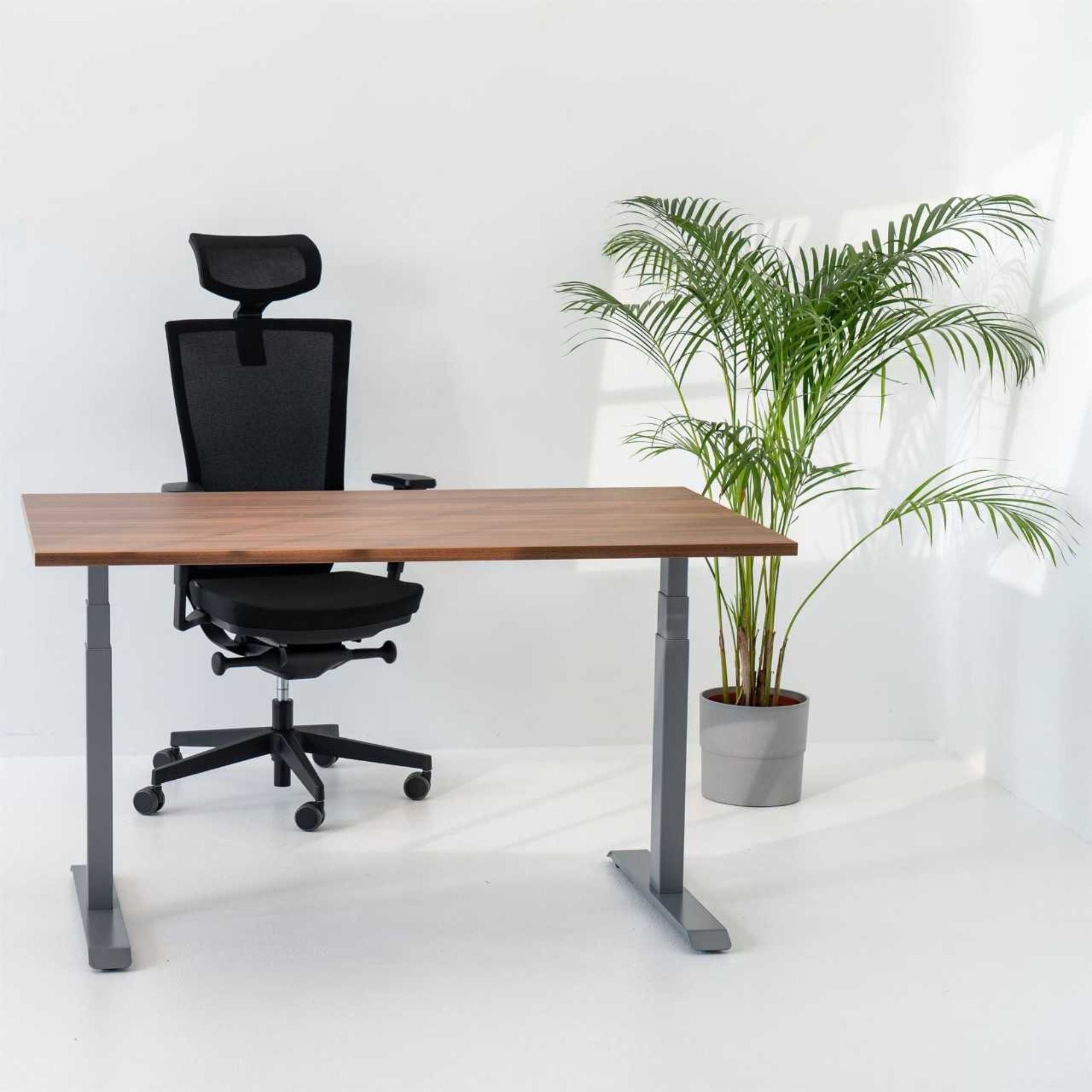 Reguliuojamo aukščio stalas NUWO GEN2