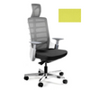Ergonominė Biuro Kėdė SPINELLY