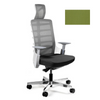 Ergonominė Biuro Kėdė SPINELLY