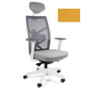 Ergonominė Biuro Kėdė TUNE
